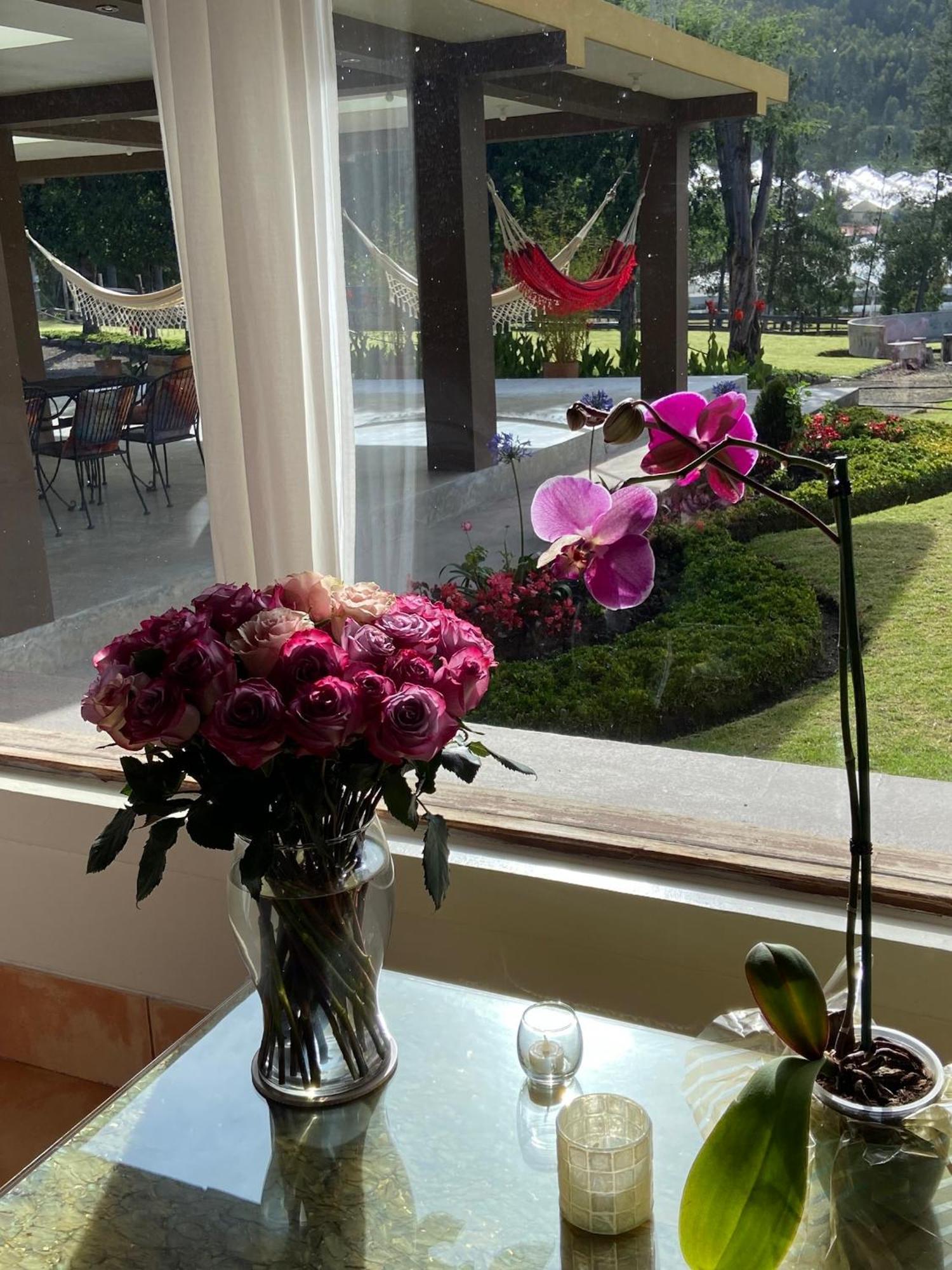Cottage house กายัมเบ ภายนอก รูปภาพ